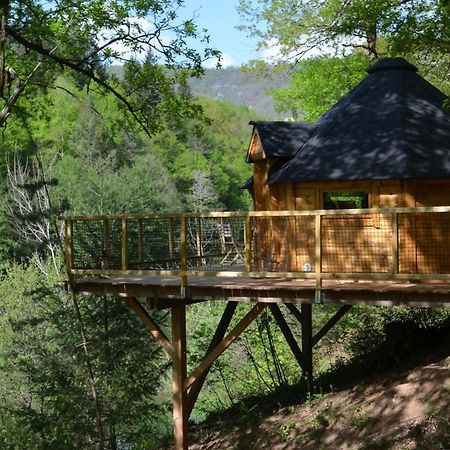 Ma Cabane En Aveyron Conques-en-Rouergue 外观 照片