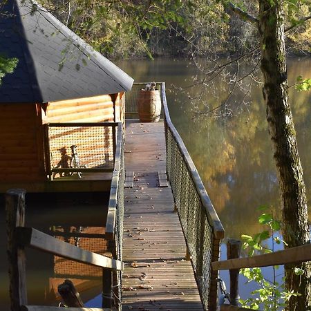 Ma Cabane En Aveyron Conques-en-Rouergue 外观 照片