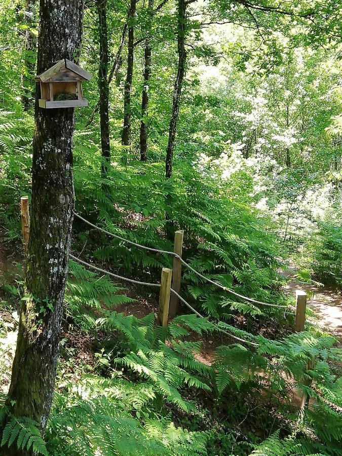 Ma Cabane En Aveyron Conques-en-Rouergue 外观 照片